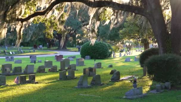 Παλαιό Αμερικανικό Νεκροταφείο Σειρές Από Επιτύμβιες Στήλες Κάτω Από Τις — Αρχείο Βίντεο