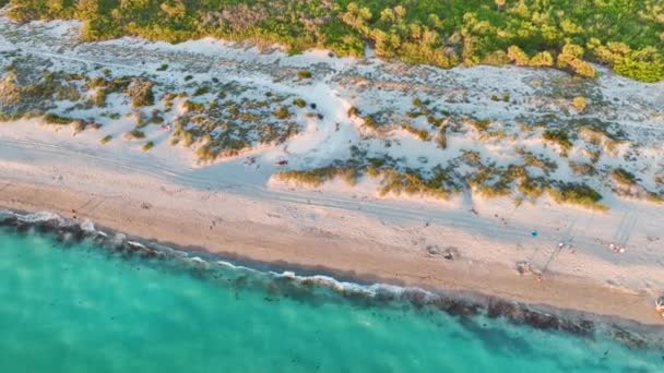 마나소타 블라인드 해변의 물에서 일몰에 따뜻한 플로리다 태양에 휴식을 즐기는 — 비디오