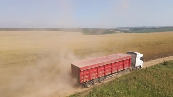 Aerial View Cargo Truck Driving Dirt Road Agricultural Wheat Fields — Wideo stockowe
