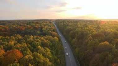 Gün batımında renkli ormanlar arasındaki kır yolunun yukarısından bak. Güneşli bir gecede, sonbahar ormanında sarı ve turuncu gölgeliklerle çevrili dar bir yol. Sonbaharda vahşi doğanın manzarası.