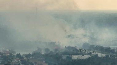 Florida orman ormanlarında yangın söndüren itfaiye helikopterinin hava görüntüsü. Acil servis helikopteri ormanda yangın çıkarmaya çalışıyor..