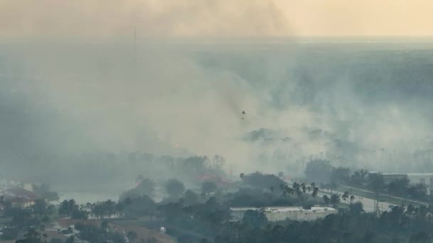 フロリダのジャングルの森の中で激しく燃える野火を消火消防ヘリコプターの空中ビュー 救急ヘリが炎を森に落とそうとしてる — ストック動画
