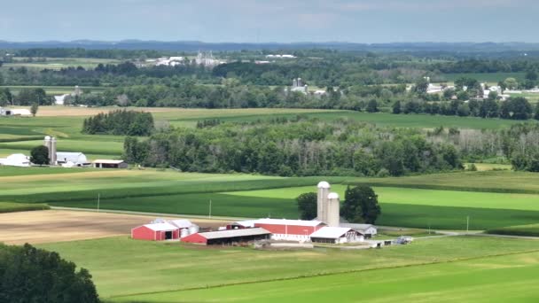 Agricultural Landscape United States American Rural Farm Silos Midwestern Usa — Stock Video