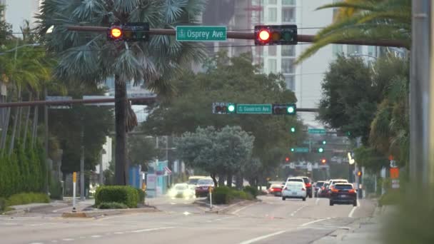 Amerykańska Ulica Samochodami Skrzyżowaniu Światłami Tampa Florydzie Transport Usa — Wideo stockowe