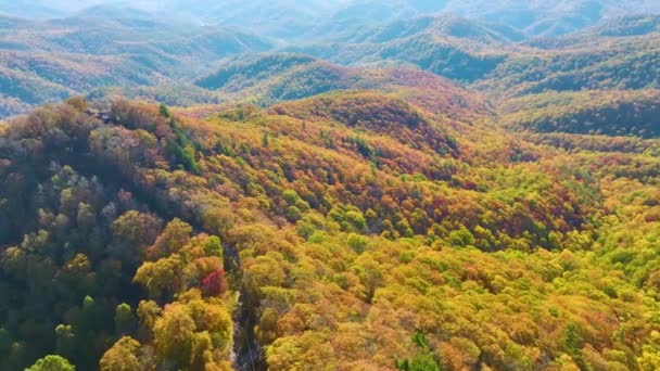 Wysokie Wzgórza Appalachach Żółtymi Lasami Sezonie Jesiennym Niesamowita Sceneria Dzikiego — Wideo stockowe