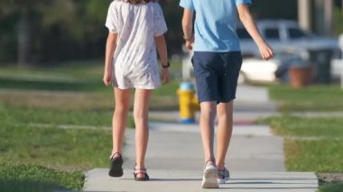 Güneşli bir günde kırsalda birlikte yürüyen iki genç çocuk, kız ve erkek kardeş, erkek ve kız kardeş. Tatil zamanı kavramı.