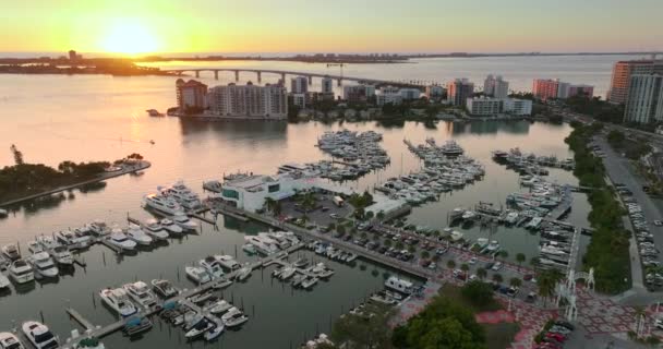 萨拉索塔湾码头 有豪华游艇和日落时的佛罗里达城市建筑 市区的高层办公大楼 佛罗里达州的房地产开发 美国旅游目的地 — 图库视频影像