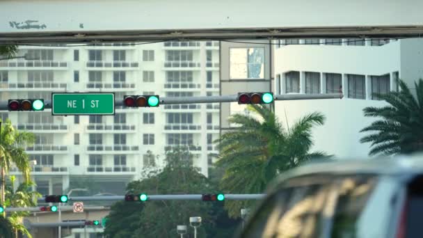 Światła Drogowe Dla Przepisów Ruchu Drogowego Wysoko Nad Ulicą Miami — Wideo stockowe