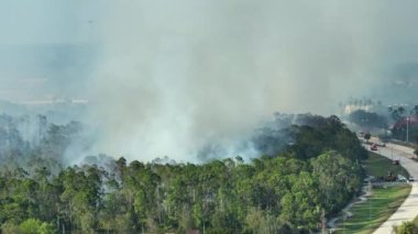 Florida orman ormanlarında yangın söndüren itfaiye araçlarının hava görüntüsü. İtfaiyeciler ormanda yangın çıkarmaya çalışıyor..