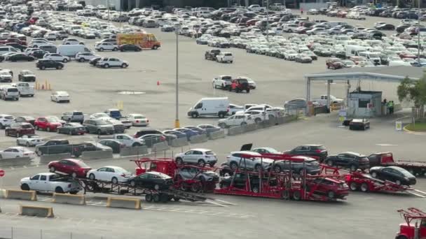 Industrial Big Rig Hauler Semi Trucks Loaded Used Cars Ready — Stock Video