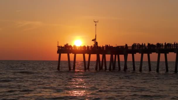Venise Floride Beaucoup Pêcheurs Touristes Profitant Des Vacances Coucher Soleil — Video