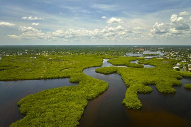 Everglades 'in su koyları arasındaki yeşil bitki örtüsüyle kaplı bataklığını görebiliyoruz. Florida 'daki birçok tropikal türün doğal yaşam alanı..