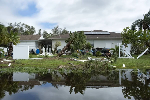 Entwurzelte Palme Nach Hurrikan Auf Floridas Vorgarten Nachwirkungen Des Konzepts Stockbild