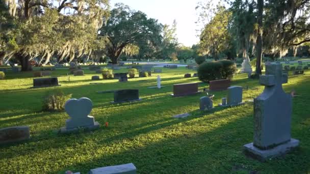 墓地には日没時に多くの墓石が埋葬されている フロリダ州オーランドの緑の草の上の南オークの木の下の埋葬場所 — ストック動画