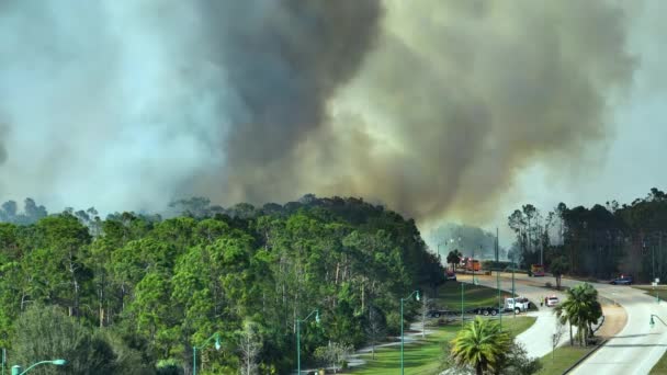 消防署はフロリダ州のジャングルの森で激しく燃えている野火を消火します 緊急サービス車両とヘリコプターが森に炎を降ろそうとしている — ストック動画