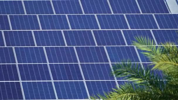 Pannelli Fotovoltaici Solari Installati Sulla Parte Superiore Della Casa Florida — Video Stock