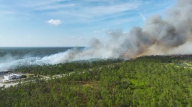 Kuzey Liman şehri Florida 'da yangın söndüren itfaiye helikopterinin hava görüntüsü. Orman ormanında alevleri söndürmeye çalışan acil servis helikopteri..