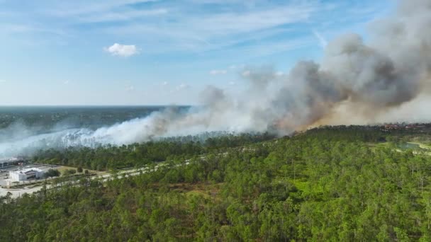 フロリダ州ノースポート市で激しい火災を消火する消防隊ヘリコプターの空中視界 ジャングルの森に炎を降ろそうとしている緊急サービスチョッパー — ストック動画