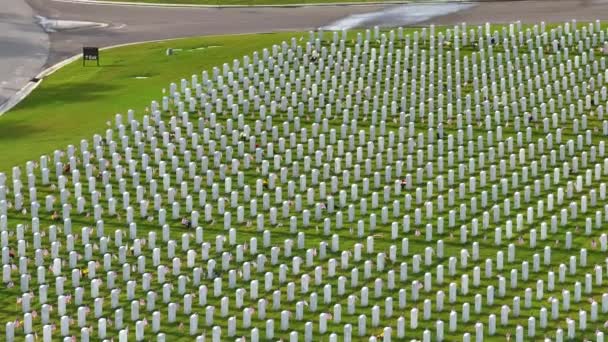 緑の草の上に白い墓石の列を持つ大きなサラソータ国立墓地の空中観察 メモリアルデーのコンセプト — ストック動画