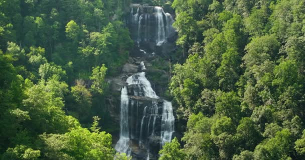 Дивовижний Літній Пейзаж Лісовими Річковими Водами Падають Великий Водоспад Чистою — стокове відео
