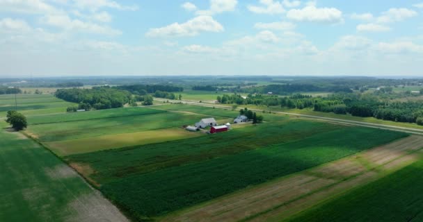 Amerikaanse Landelijke Kleine Boerderij Midwesten Van Landbouwlandschap Verenigde Staten — Stockvideo