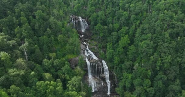 Niesamowity Letni Krajobraz Leśnymi Wodami Rzecznymi Opadającymi Dużym Wodospadzie Czystą — Wideo stockowe