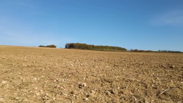Pola Uprawne Uprawną Żyzną Glebą Przygotowane Sadzenia Roślin Wiosną — Wideo stockowe