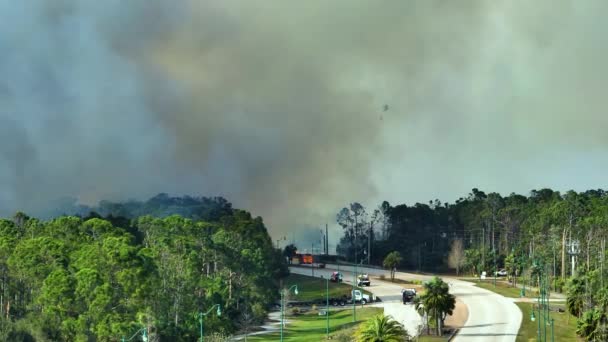 佛罗里达州丛林中 消防部门的直升机和消防车扑灭着熊熊大火 紧急服务车辆和直升机试图扑灭森林中的大火 — 图库视频影像