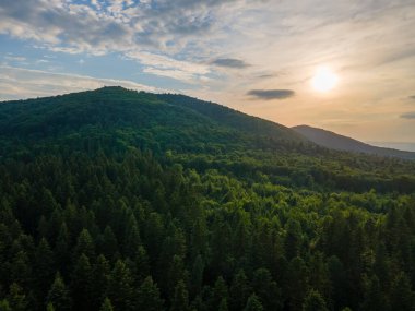 Gün batımında dağ tepelerini kaplayan koyu ladin ağaçlı yeşil çam ormanlarının hava manzarası. Yukarıdan orman manzarası yok.