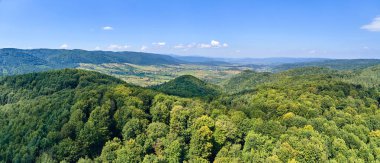 Parlak yaz gününde yoğun yeşil gür ormanlarla kaplı dağ tepelerinin havadan görünüşü.