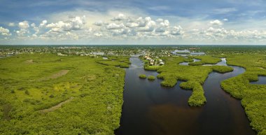Okyanus suları ve uzak yerleşim evleri arasında yeşil bitki örtüsü bulunan Florida sulak alanlarının havadan görünüşü. Birçok tropikal türün doğal yaşam alanı.