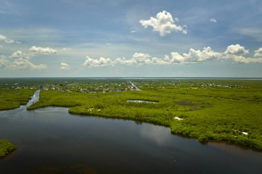Everglades 'in su koyları arasındaki yeşil bitki örtüsüyle kaplı bataklığını görebiliyoruz. Florida 'daki birçok tropikal türün doğal yaşam alanı..