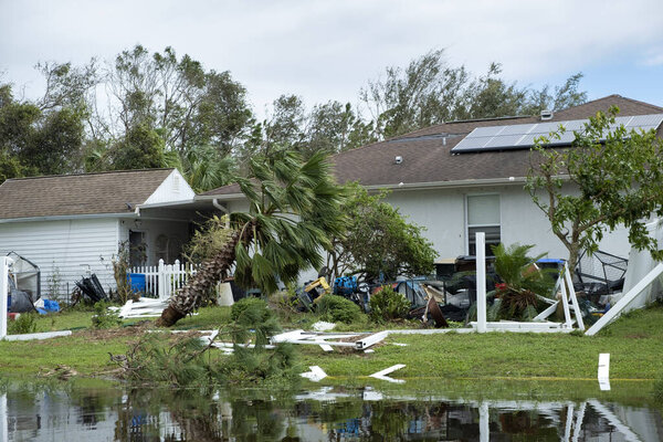 Hurricane damage to palm tree on Florida house backyard. Fallen down tree after tropical storm winds. Consequences of natural disaster.