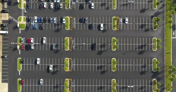 Luchtfoto Van Veel Auto Geparkeerd Parkeerplaats Met Lijnen Markeringen Voor — Stockvideo