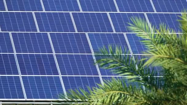 Autonomes Haus Florida Mit Photovoltaik Dach Mit Sonnenkollektoren Zur Erzeugung — Stockvideo