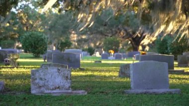 Orlando, Florida 'da yeşil çimlerin üzerinde güney meşe ağaçlarının altında sıra sıra mezar taşları olan eski Amerikan mezarlığı..