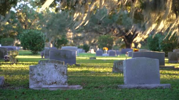 Old American Cemetery Rows Tombstones Southern Oak Trees Green Grass — Stock Video