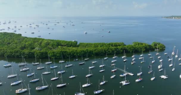 Marina Bay Mit Segelbooten Und Yachten Miami Stadt Coconut Grove — Stockvideo