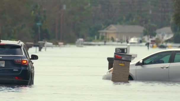 飓风淹没了街道 车辆破碎 周围都是佛罗里达州居民区的水 自然灾害的后果 — 图库视频影像