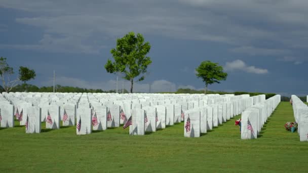 Cmentarz Narodowy Sarasota Wieloma Białymi Nagrobkami Zielonym Trawniku Koncepcja Dnia — Wideo stockowe