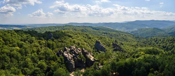 Parlak manzaranın panoramik manzarası. Yazın sık ağaçlar arasında yeşil orman ağaçları ve büyük kayalık kayalar. Vahşi ormanın güzel manzarası.