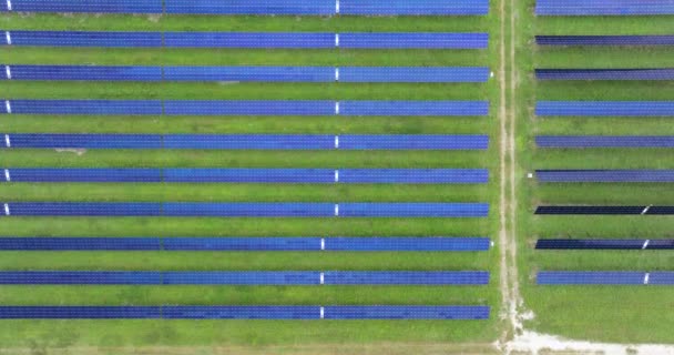 太阳能光伏面板用于生产清洁的电能 可再生能源 零排放 可持续发电厂 — 图库视频影像