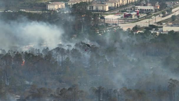 소방국의 헬기가 플로리다 숲에서 심각하게 산불을 진압하고 있습니다 헬기가 산불을 — 비디오
