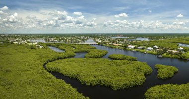 Everglades bataklığının su koyları ve kırsal özel evler arasındaki yeşil bitki örtüsü. Florida 'daki birçok tropikal türün doğal yaşam alanı..