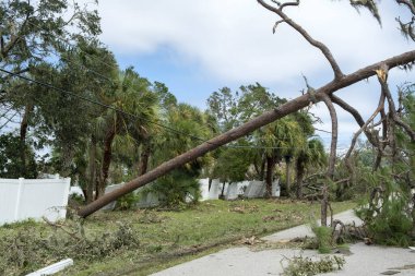 Kasırga rüzgarı, Florida 'daki elektrik hattı ve iletişim kablosunu bozdu. Doğal afetten sonra şebekeye hasar.