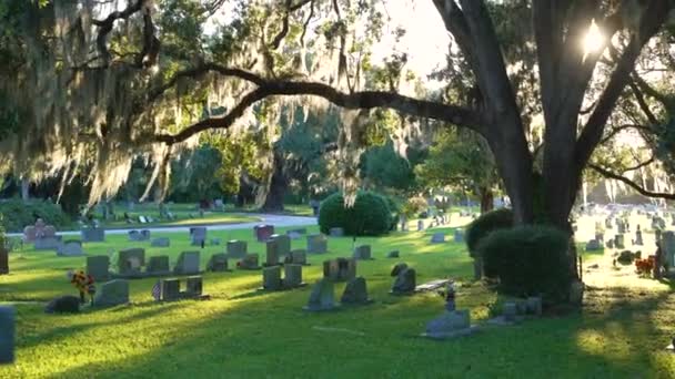 Grave Tombstones Old Cemetery Shade Southern Oak Trees Green Grass — Stock Video