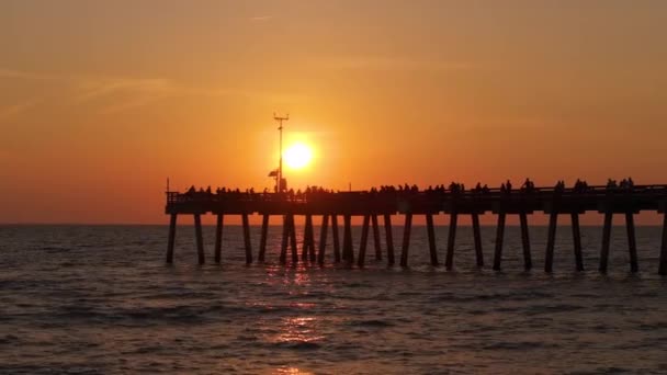 Venedig Florida Menschen Genießen Den Hellen Sonnenuntergang Auf Dem Fischersteg — Stockvideo