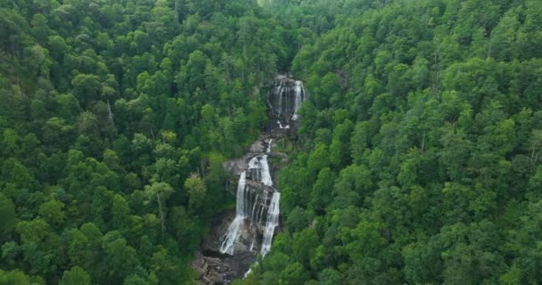 Whitewater Falls Bosque Nacional Nantahala Carolina Del Norte Hermoso Paisaje — Vídeos de Stock