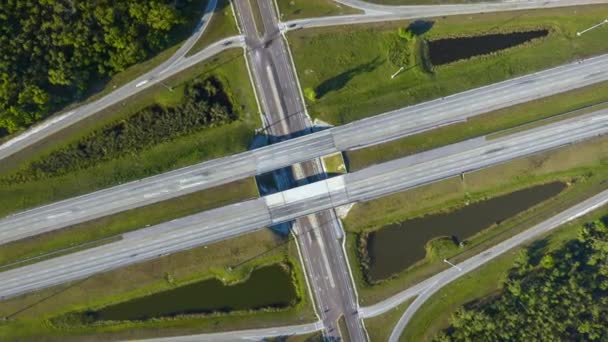 Вид Зверху Американський Міст Швидким Рухом Зеленій Флориді Timelapse Interstate — стокове відео