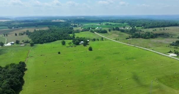 夏の農業グリーンフィールドで干し草のベール — ストック動画
